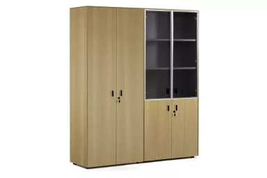 Шкаф комбинированный + для бумаг