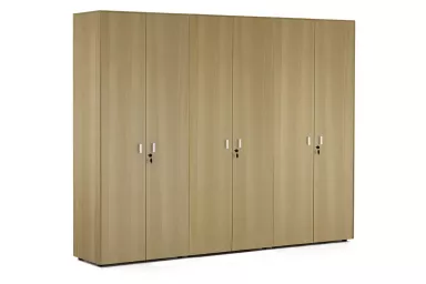 Шкаф для бумаг x2 с гардеробом